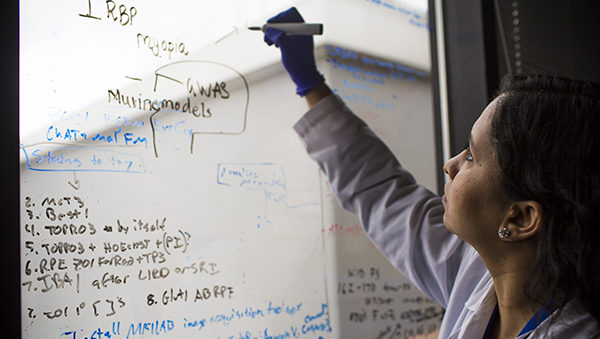 woman faculty member writing on whiteboard with black and blue writing